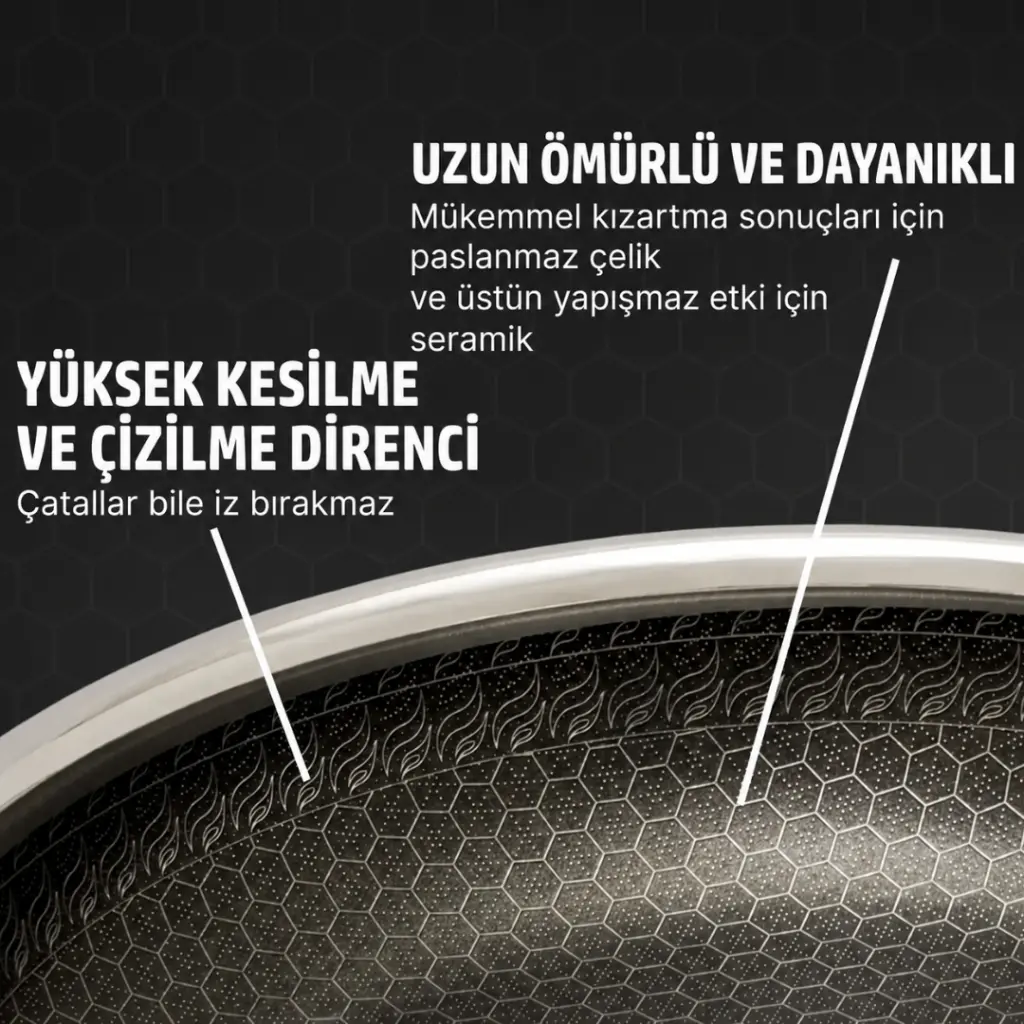 12.webp