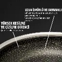 12.webp