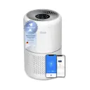 LEVOIT HEPA Hava Filtreli Hava Temizleyici